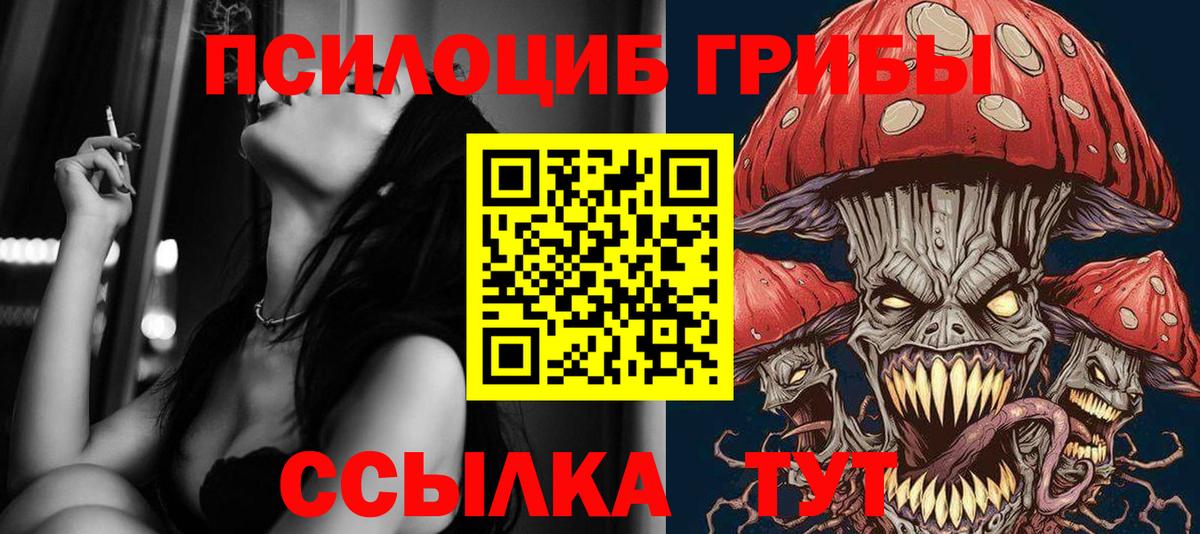 Псилоцибиновые грибы мицелий  Вход с VPN  Сальск 