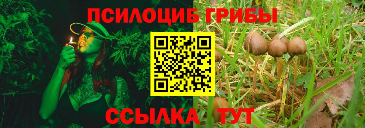 Галлюциногенные грибы мухоморы Сальск